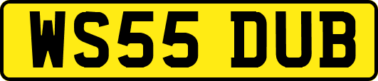 WS55DUB