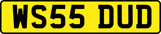 WS55DUD