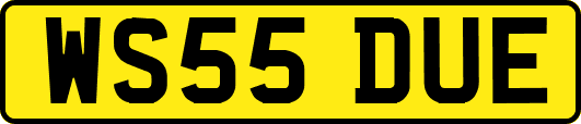 WS55DUE