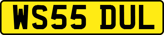 WS55DUL