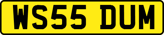 WS55DUM