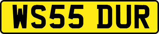 WS55DUR