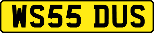 WS55DUS