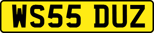 WS55DUZ