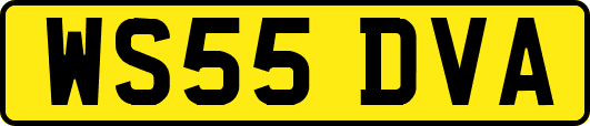 WS55DVA