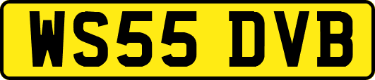 WS55DVB