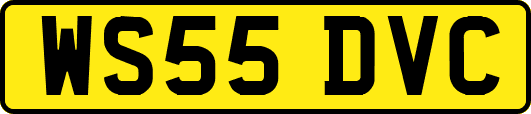 WS55DVC