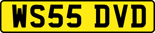 WS55DVD
