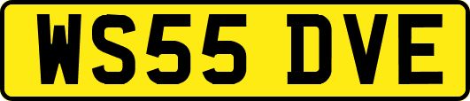 WS55DVE