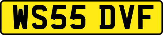 WS55DVF