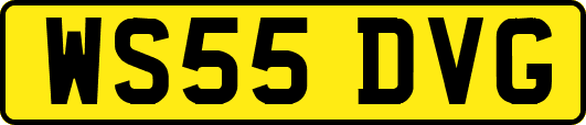 WS55DVG