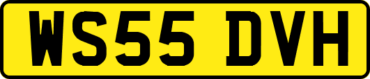 WS55DVH