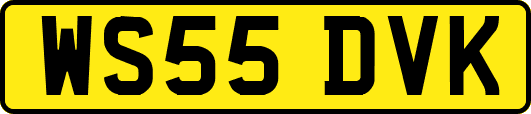 WS55DVK