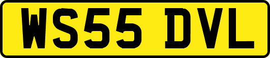 WS55DVL