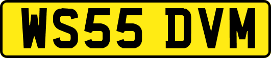 WS55DVM