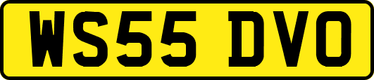 WS55DVO