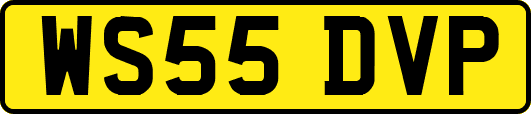 WS55DVP