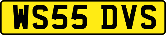 WS55DVS