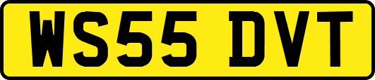 WS55DVT