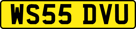 WS55DVU