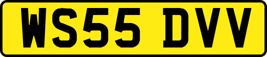 WS55DVV