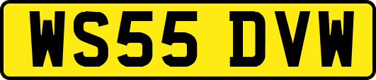 WS55DVW