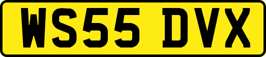 WS55DVX