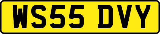 WS55DVY
