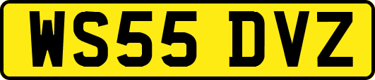 WS55DVZ