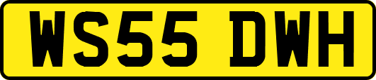 WS55DWH