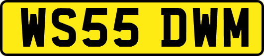 WS55DWM