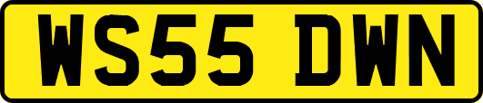 WS55DWN