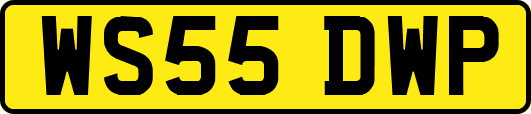 WS55DWP