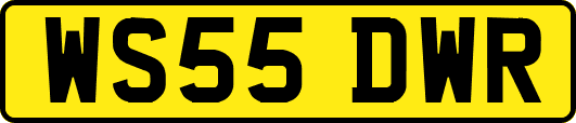 WS55DWR