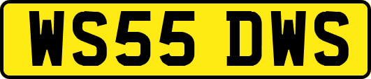 WS55DWS