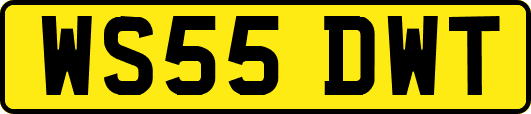 WS55DWT