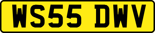 WS55DWV