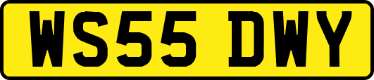 WS55DWY