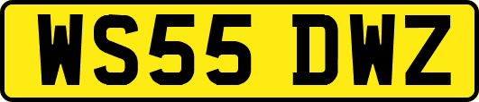 WS55DWZ