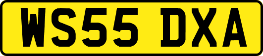 WS55DXA