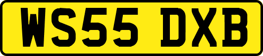 WS55DXB