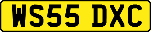 WS55DXC
