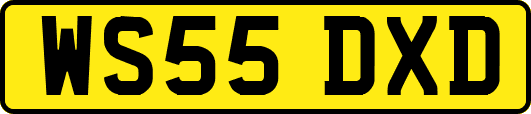 WS55DXD