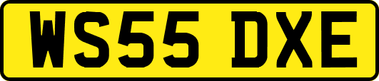 WS55DXE