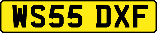 WS55DXF