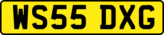 WS55DXG