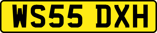 WS55DXH