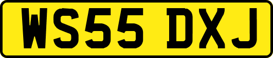 WS55DXJ