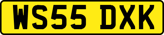 WS55DXK