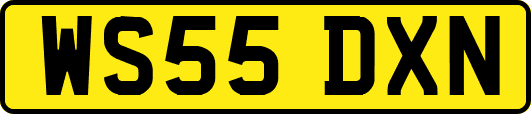 WS55DXN